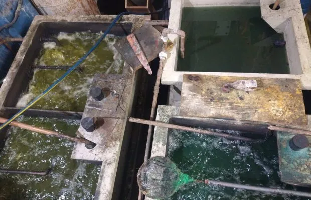 02_redução consumo de água